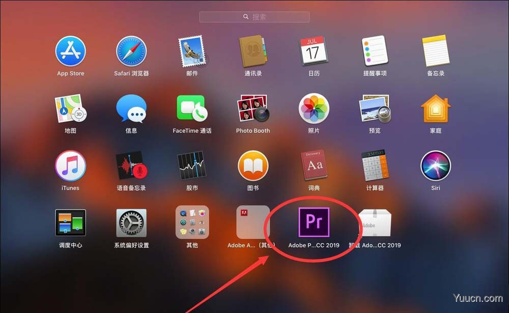 Premiere Pro 2019怎么取消工具提示选项?