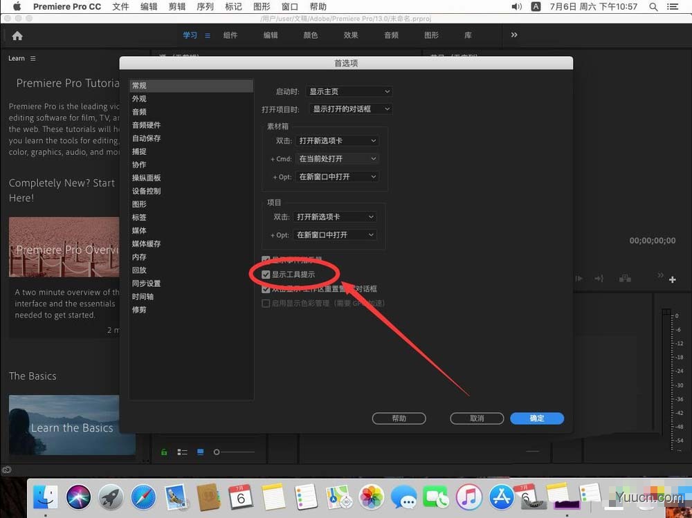 Premiere Pro 2019怎么取消工具提示选项?