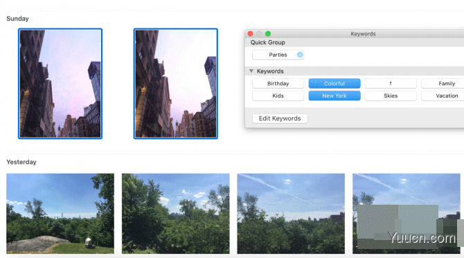 Apple Photos如何添加和编辑关键字?Apple照片如何创建基于关键字的相册