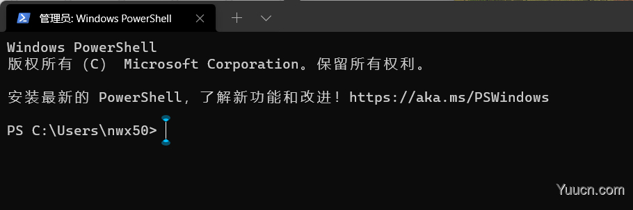 PowerShell不显示标题栏