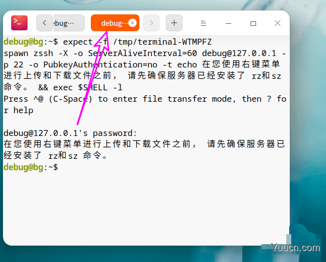 deepin20终端远程管理服务器的方法