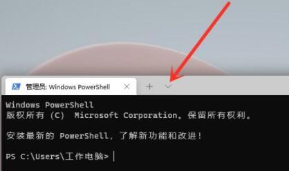 Win11系统命令提示符在哪? Windows11命令提示符打开的两种方法