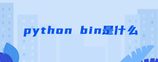 python bin是什么