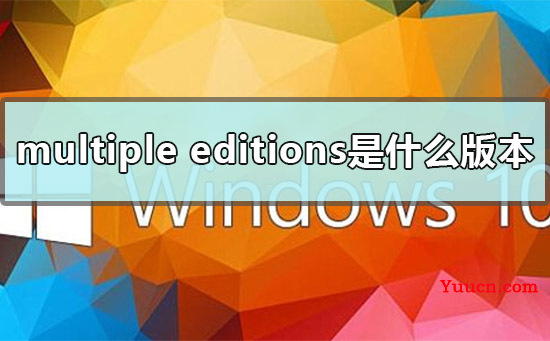 multiple editions是什么版本