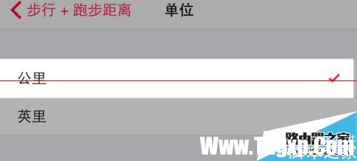 iPhone6自带的健康软件怎么把英里换成公里？