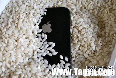 iphone6s掉水里怎么办？iphone6s掉入水中的处理方法