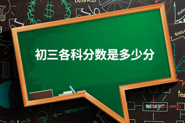 初三各科分数是多少分