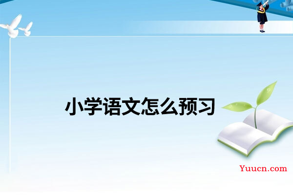 小学语文怎么预习