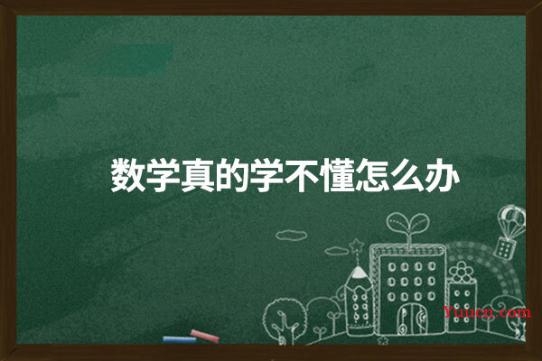 数学真的学不懂怎么办