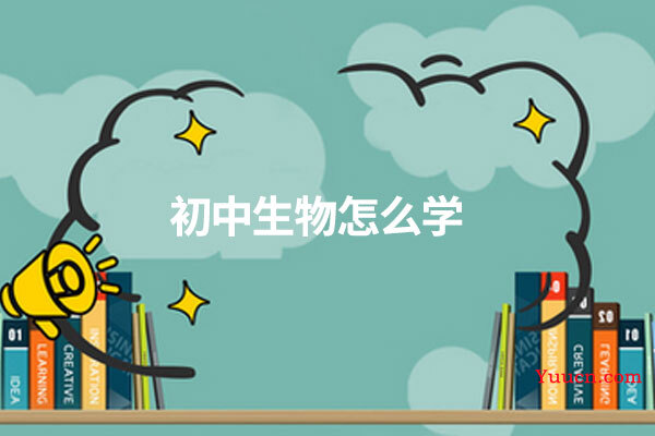 初中生物怎么学