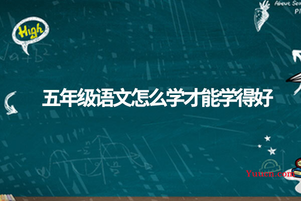 五年级语文怎么学才能学得好
