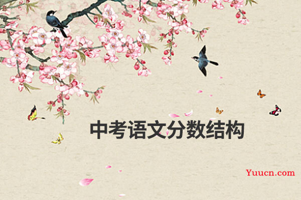 中考语文分数结构
