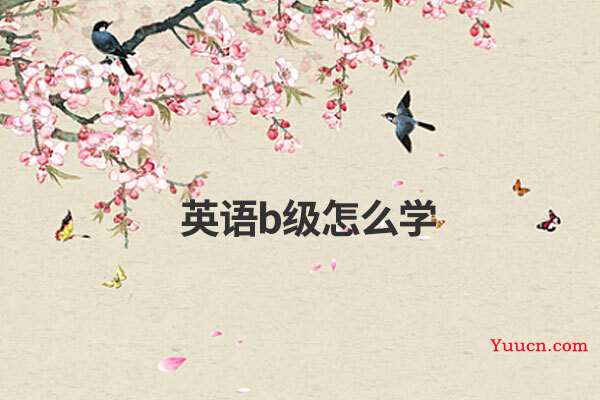英语b级怎么学