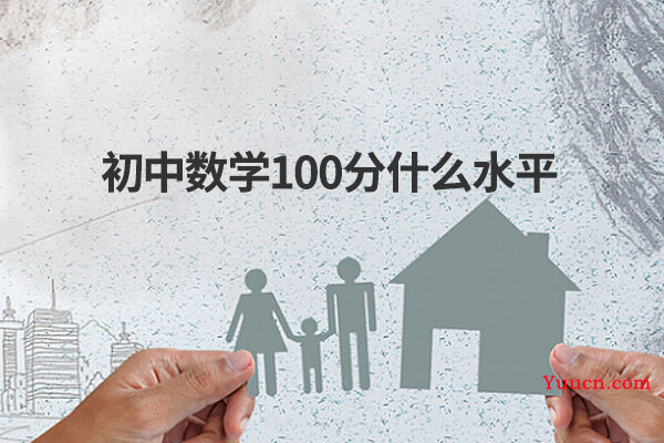 初中数学100分什么水平
