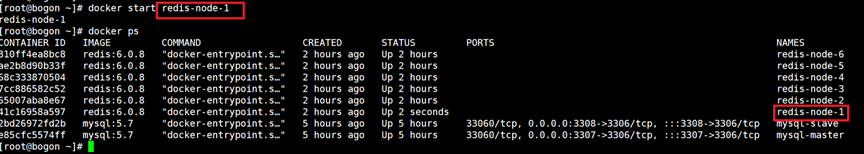 docker高级篇第二章-分布式存储之实战案例：主从容错切换迁移案例