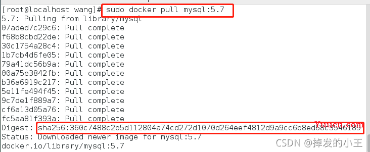 docker搭建Elasticsearch、Kibana、Logstash 同步mysql数据到ES