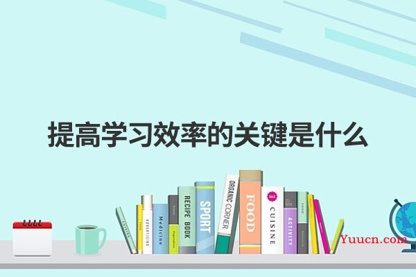 提高学习效率的关键是什么