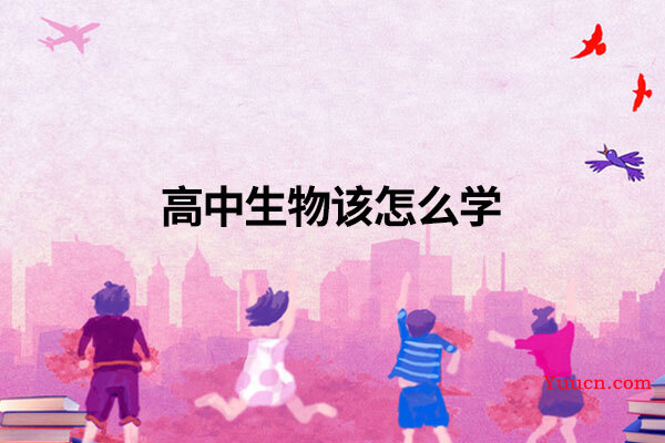 高中生物该怎么学