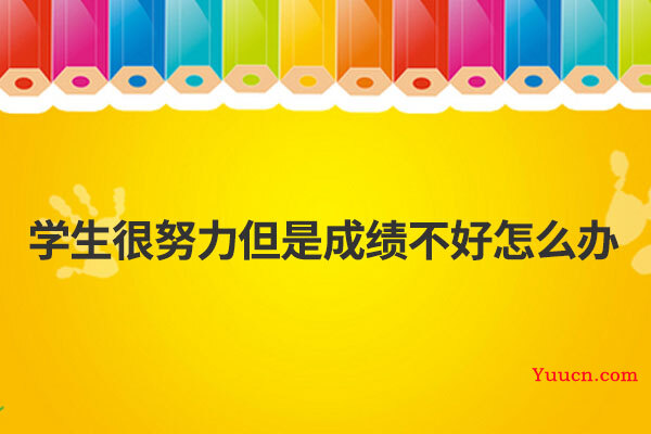 学生很努力但是成绩不好怎么办