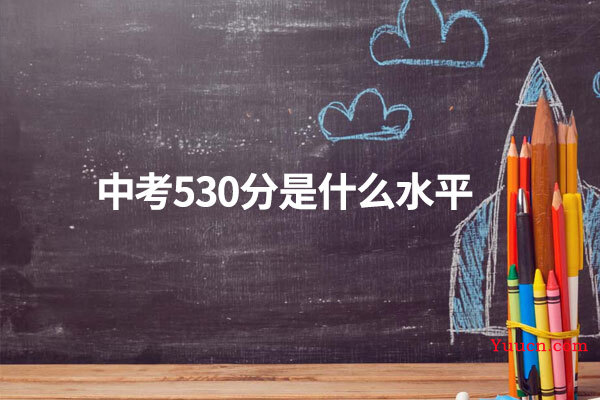 中考530分是什么水平