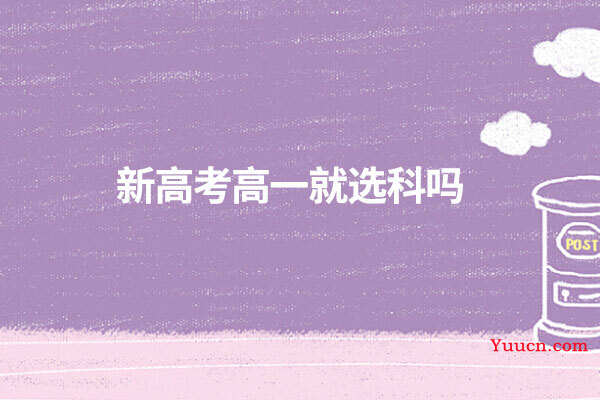 新高考高一就选科吗