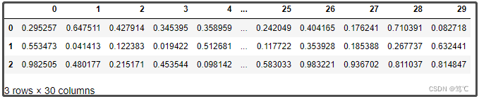 【Python】pd.set_option()的效果与解析