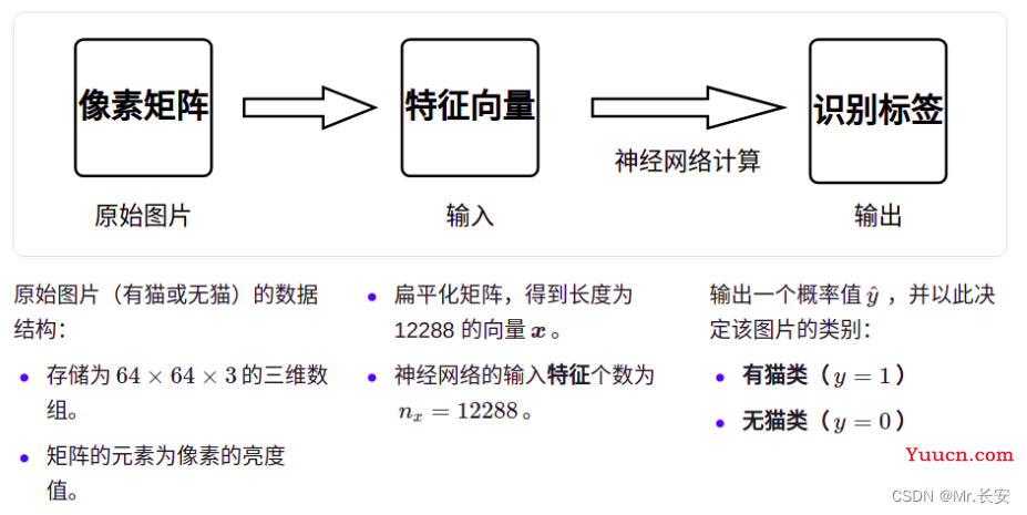 用Pytorch构建一个喵咪识别模型