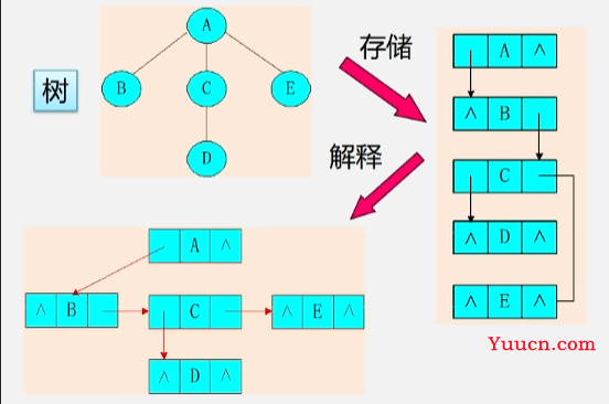 14树的存储结构，二叉树的转换，树和森林的遍历