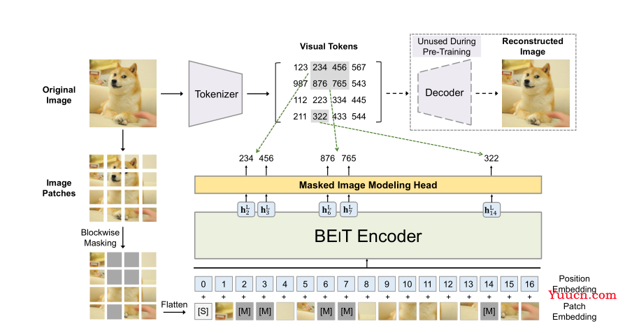 MAE实现及预训练可视化 （CIFAR-Pytorch）