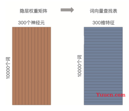 Embedding 基础