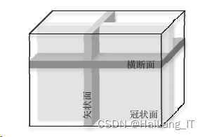 毕业设计-基于深度学习的医学影像分割