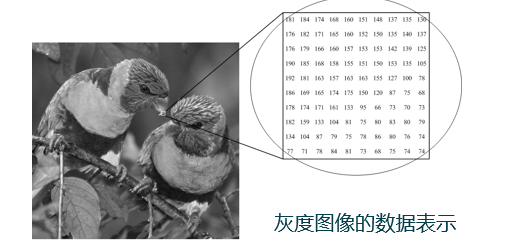 数字图像处理-图像基础-复习总结