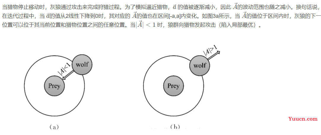 2022年最新优化算法---蛛母狼马蜂算法（论文创新点）