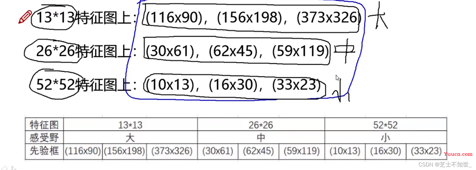 《从零深入理解Yolo系列v1-v8全家桶 + 目标检测面试提问》