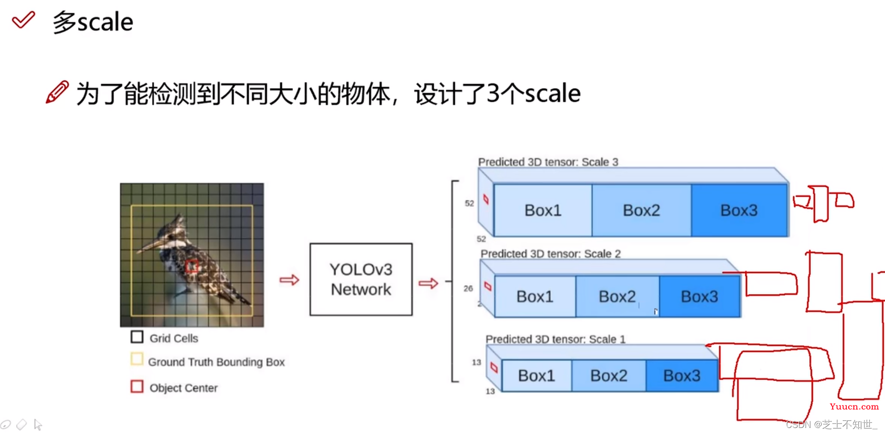 《从零深入理解Yolo系列v1-v8全家桶 + 目标检测面试提问》