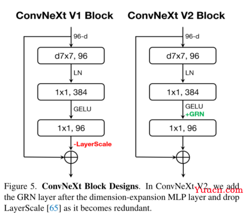 ConvNeXt V2学习笔记