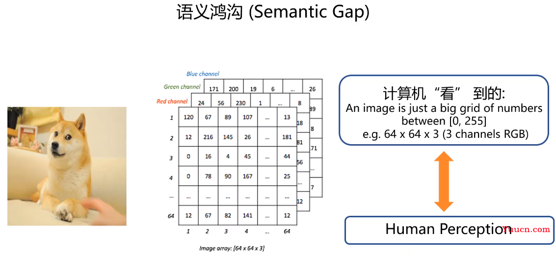 CV：计算机视觉技最强学习路线之CV简介(传统视觉技术/相关概念)、早期/中期/近期应用领域(偏具体应用)、经典CNN架构(偏具体算法)概述、常用工具/库/框架/产品、环境安装、常用数据集、编程技巧