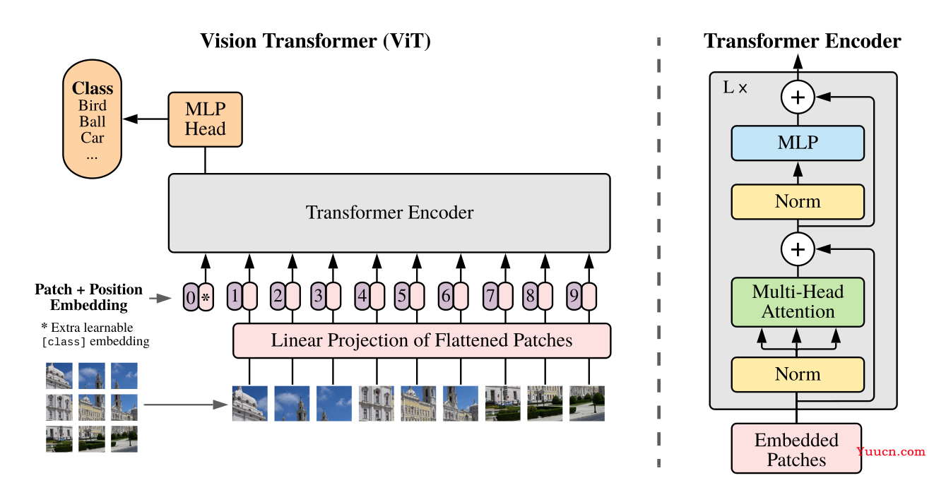 vit网络模型简介