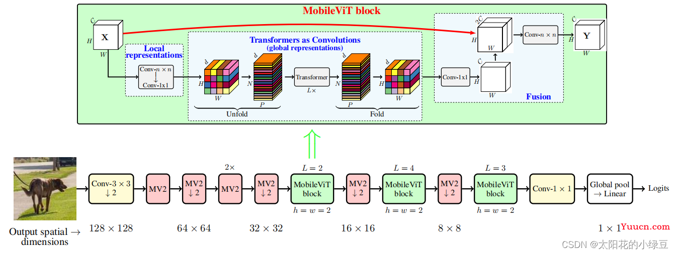 MobileViT模型简介