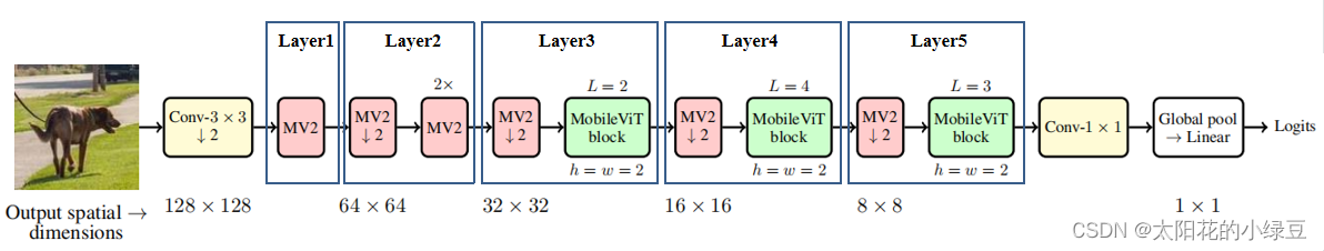 MobileViT模型简介