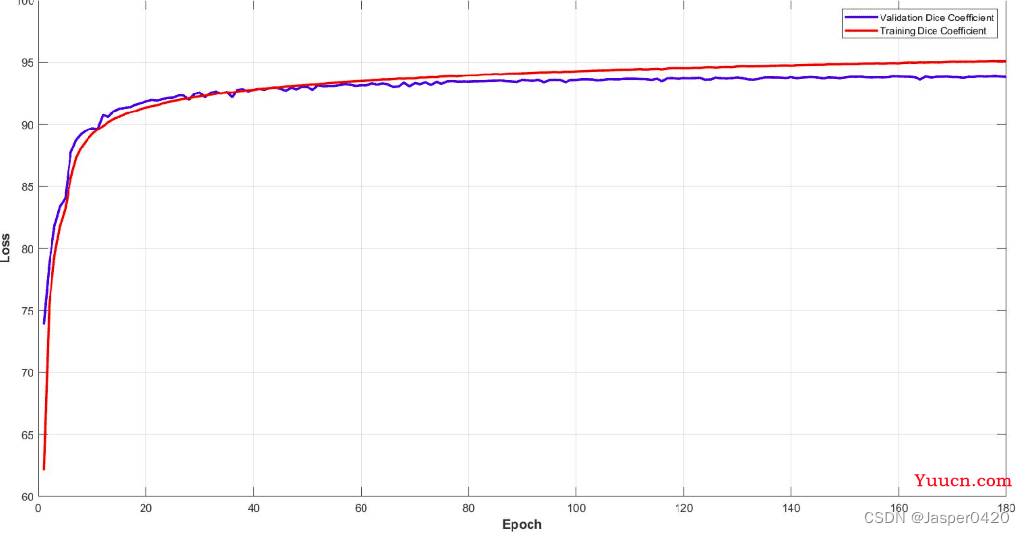 深度学习实战（十）：使用 PyTorch 进行 3D 医学图像分割