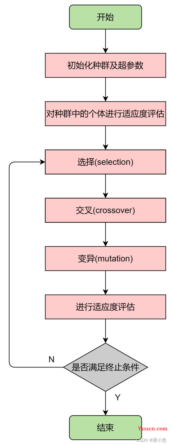 智能算法系列之遗传算法