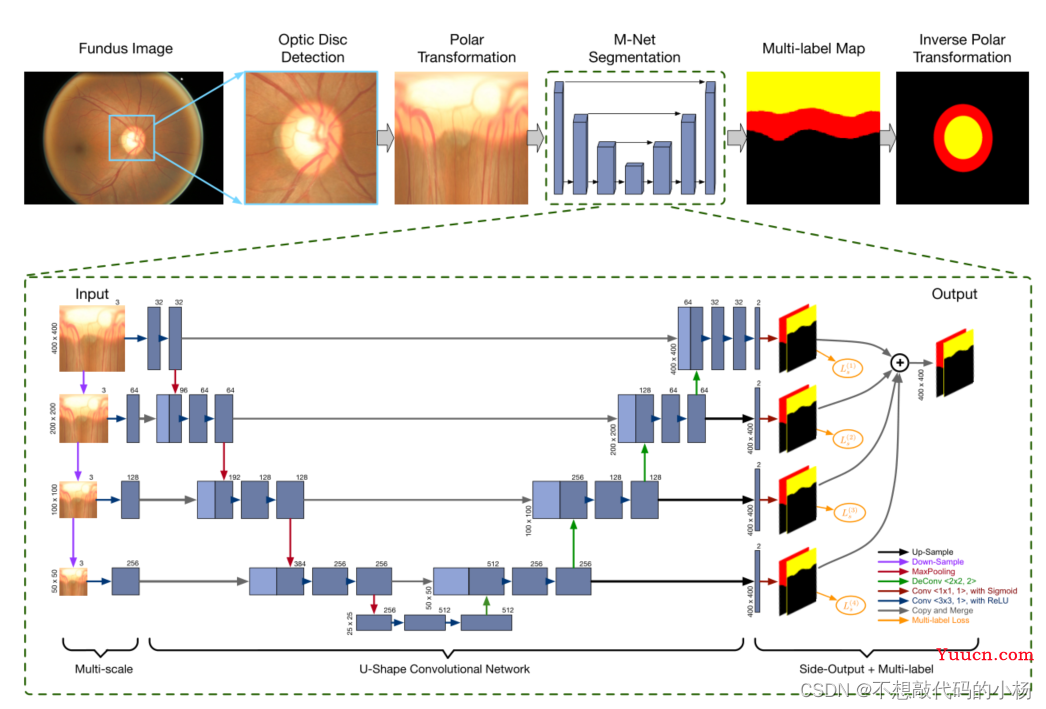 Medical Image Segmentation Review:The Success of U-Net