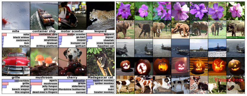 Alexnet论文介绍（超详细）——ImageNet Classification with Deep Convolutional Neural Networks