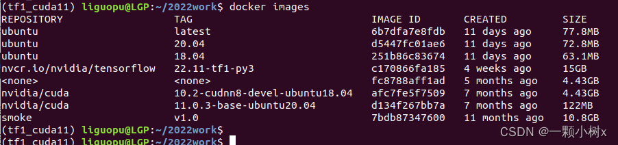 Tensorflow1 搭建Cuda11