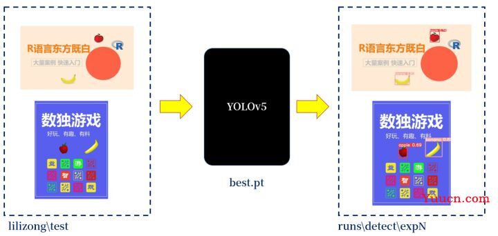 YOLOv5识别图像内苹果和香蕉