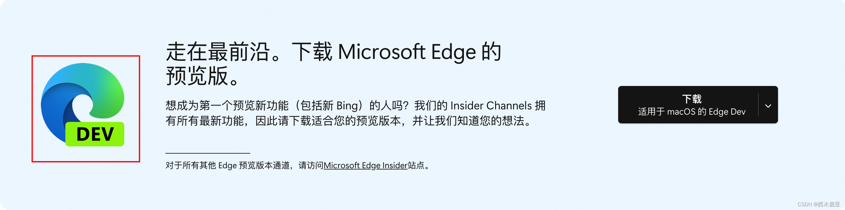 总是跳转到国内版(cn.bing.com)？New Bing使用全攻略