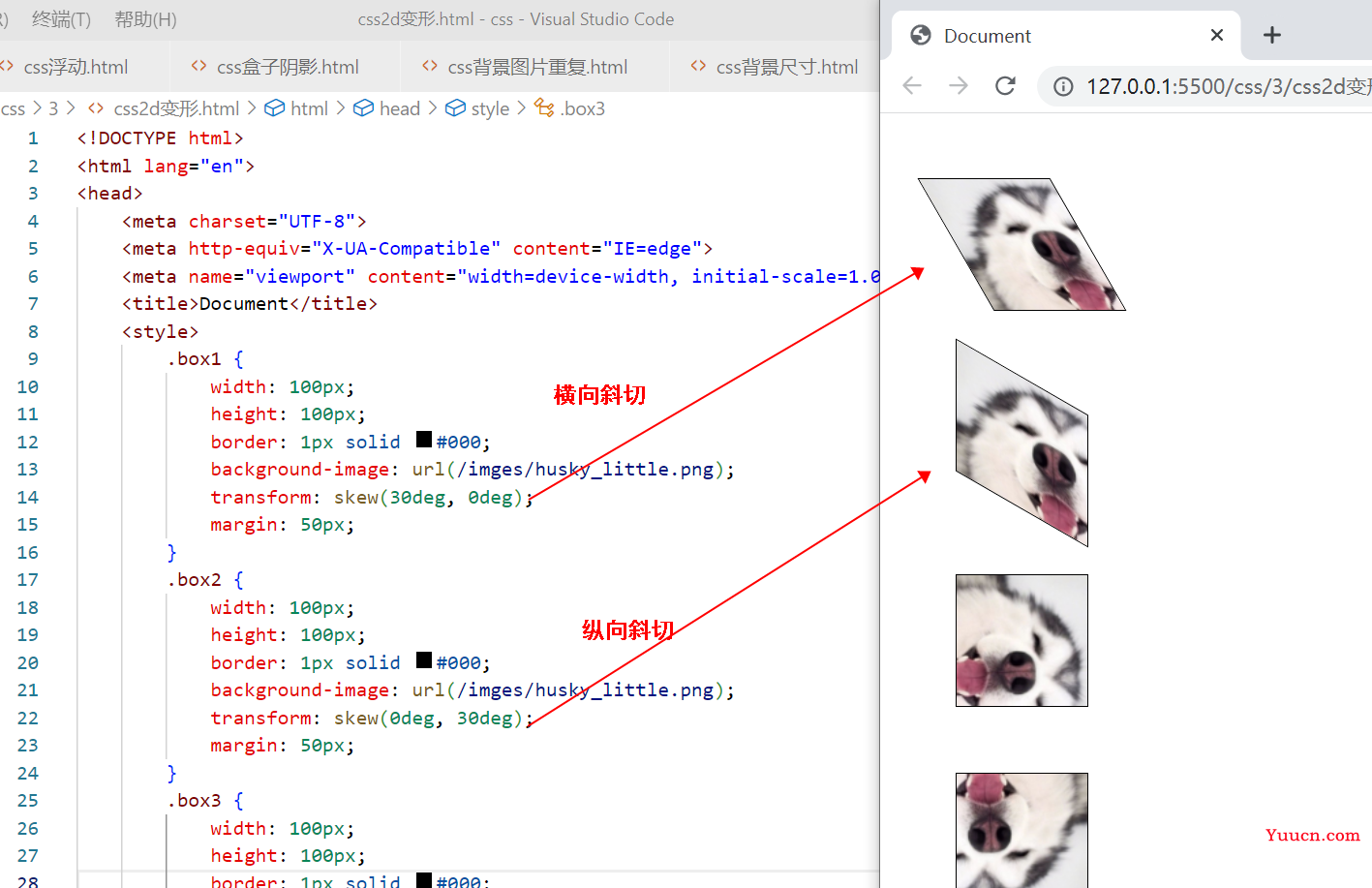 〖大前端 - 基础入门三大核心之CSS篇⑳〗- 2D变形