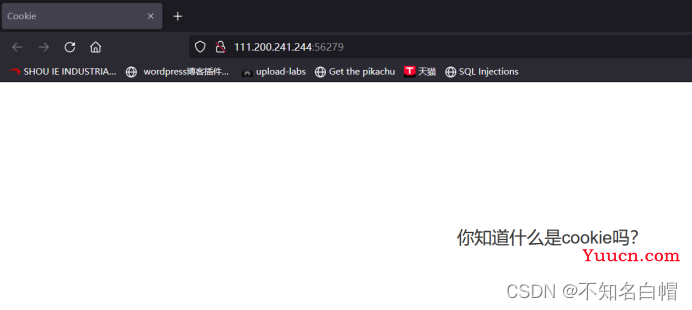 攻防世界WEB练习区（backup、cookie、disabled_button）