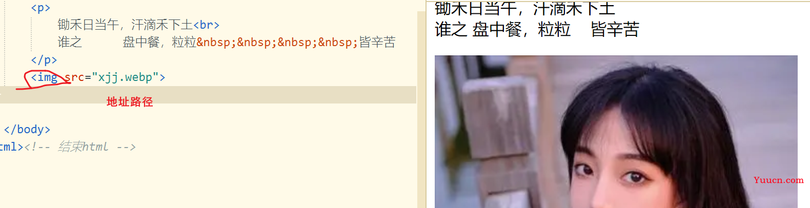 【中兴】web训练营~一文带你走进前端 | 百图制作